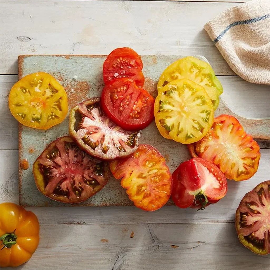 Tomato Season