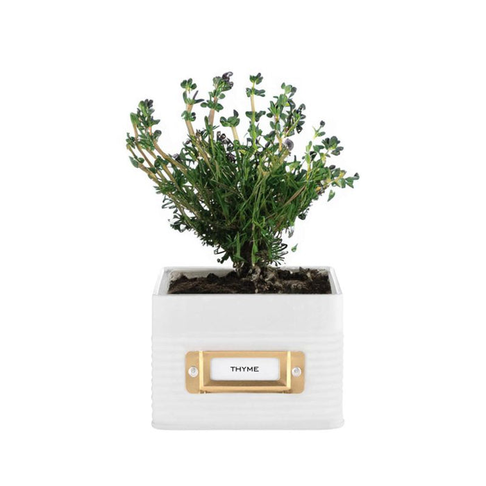 Herb Planter - White