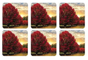 Pimpernel Crimson Trees Coasters Set of 6