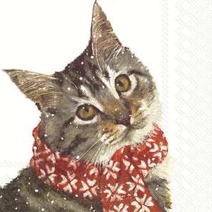 Paper Cocktail Napkins, Winter Kitty