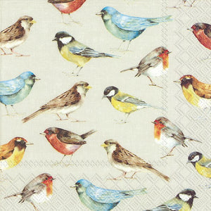 Paper Luncheon Napkins, The Birds